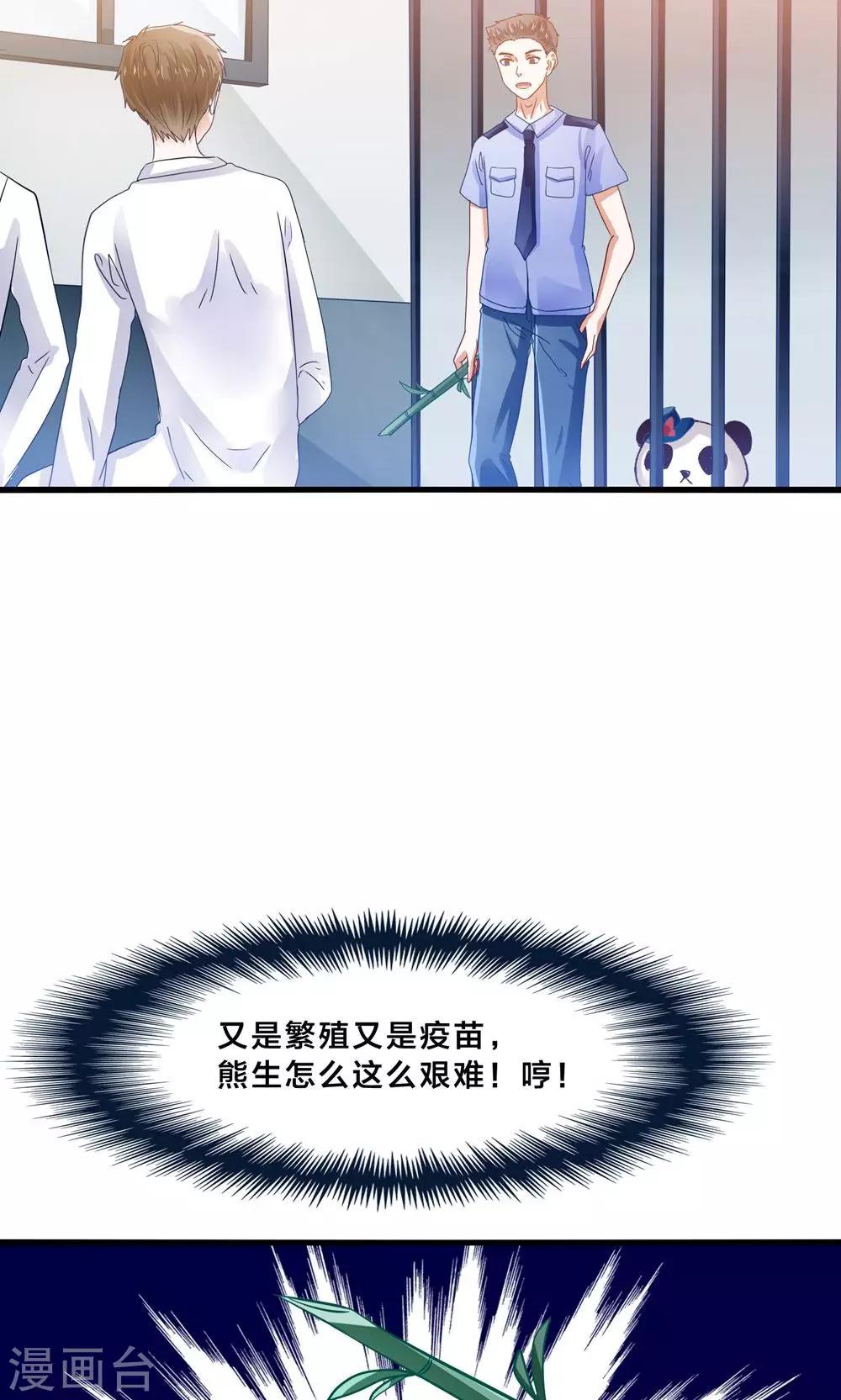 第4话 萌熊拳出击！-第5话