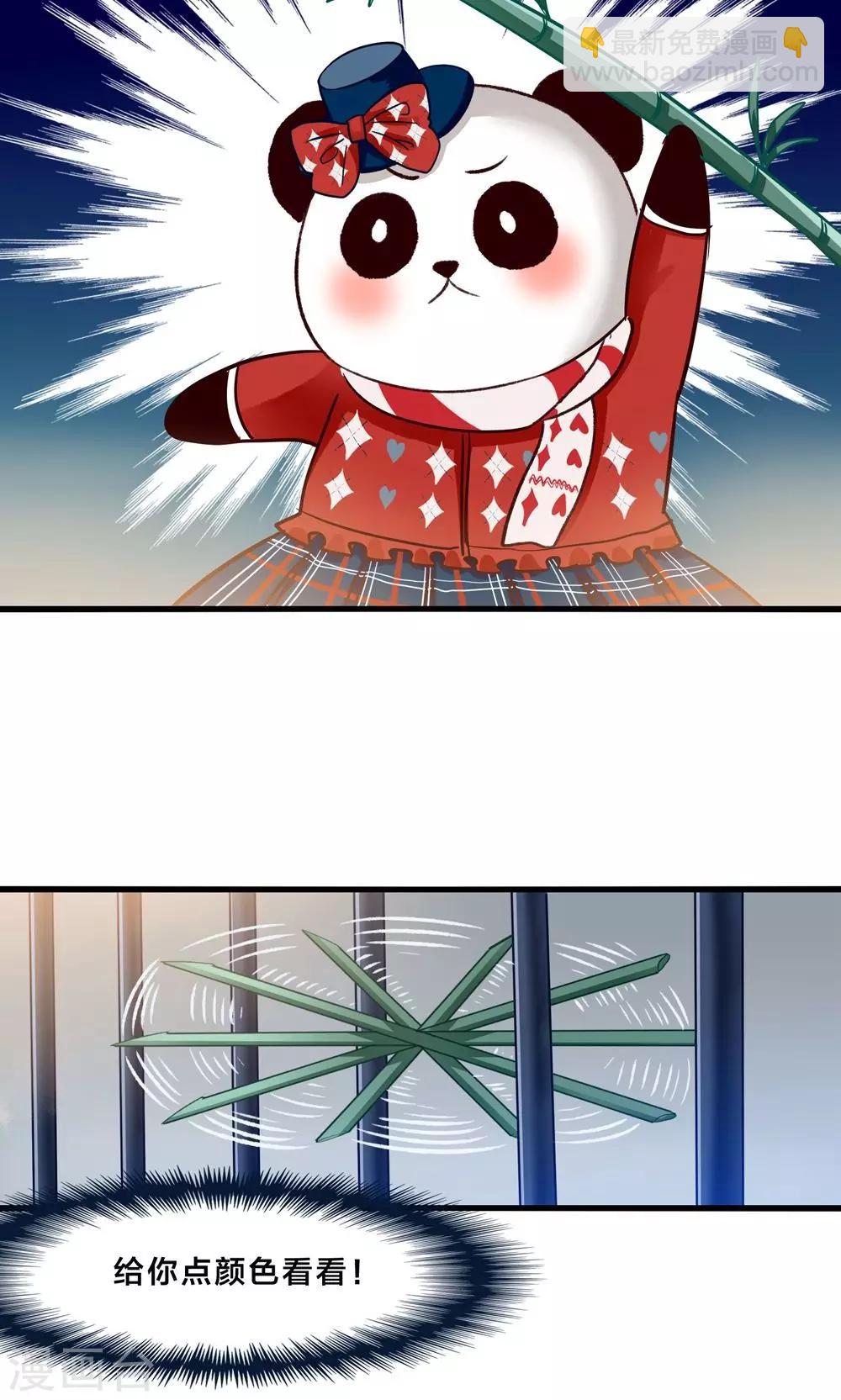 第4话 萌熊拳出击！-第5话