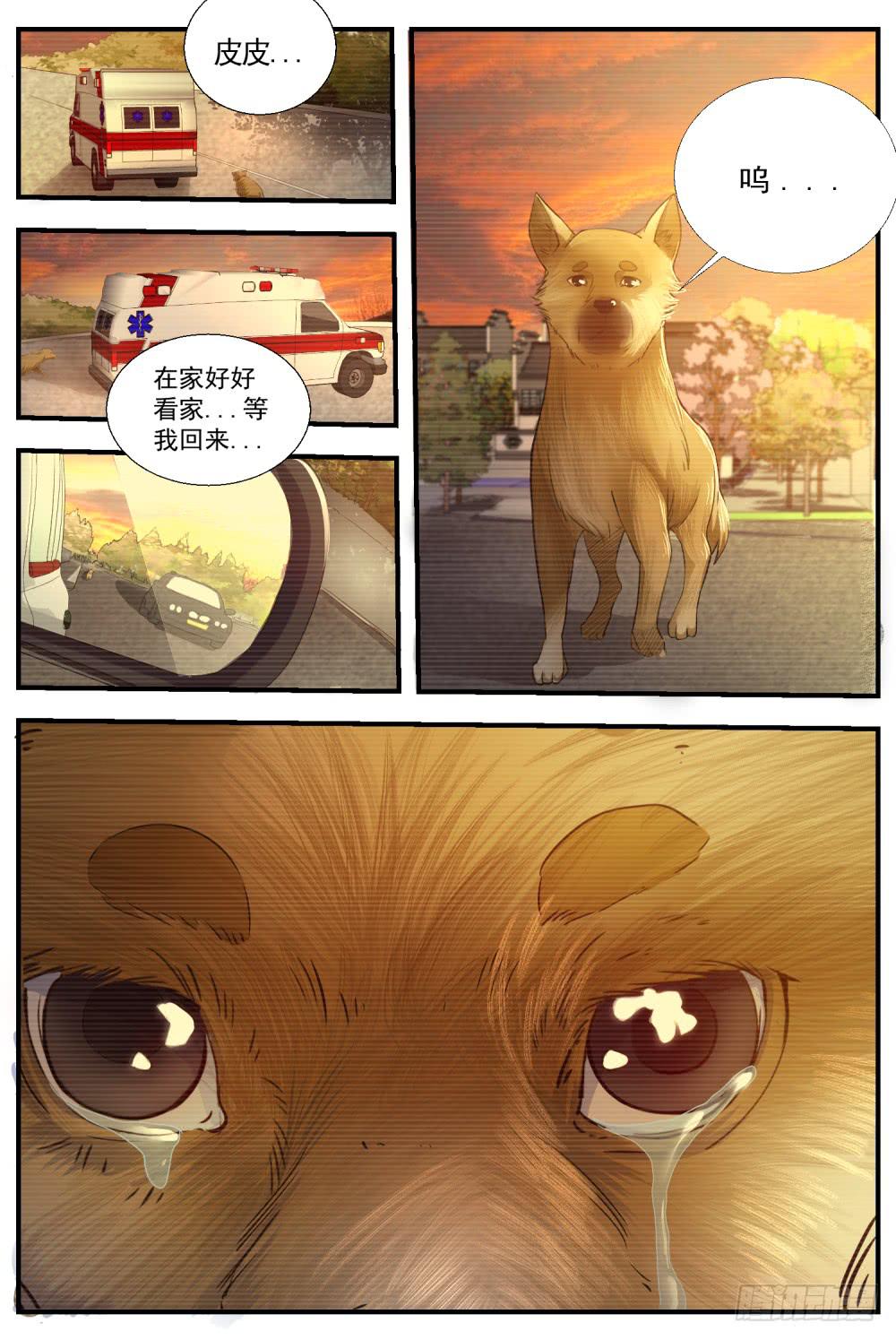 61 以生命为代价的守护-第63话