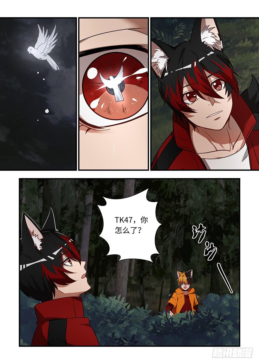 第一百四十六话：灰鸽子-第171话
