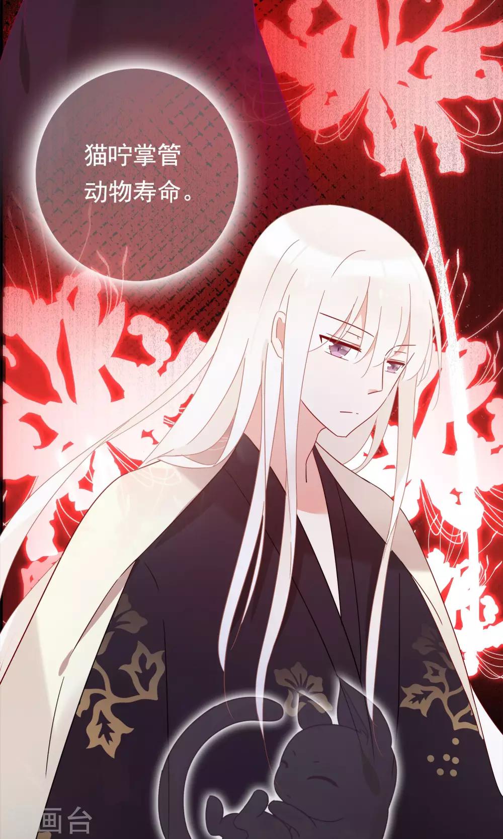 第19话 动物们的生死归我管-第21话