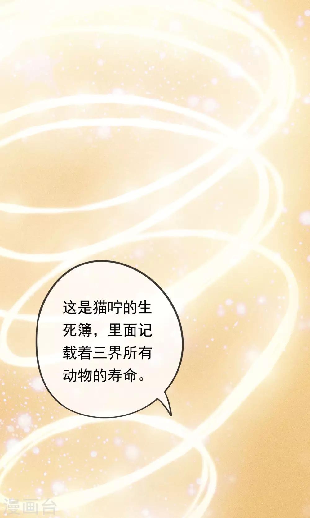 第19话 动物们的生死归我管-第21话