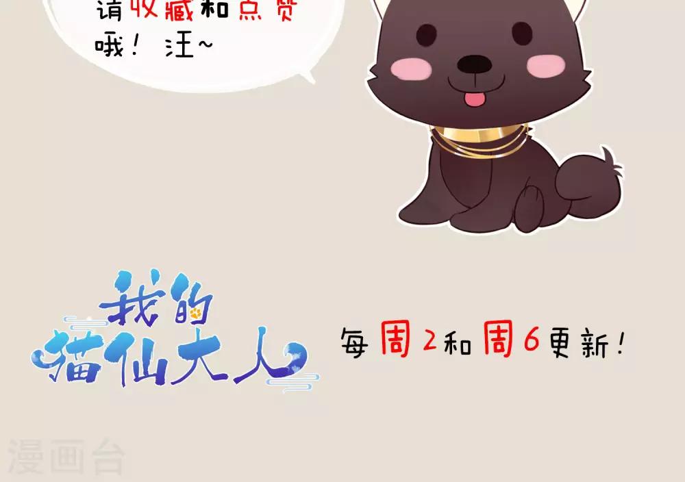 第19话 动物们的生死归我管-第21话