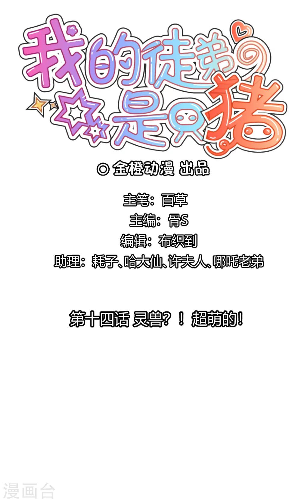第14话 灵兽？！超萌的！-第15话