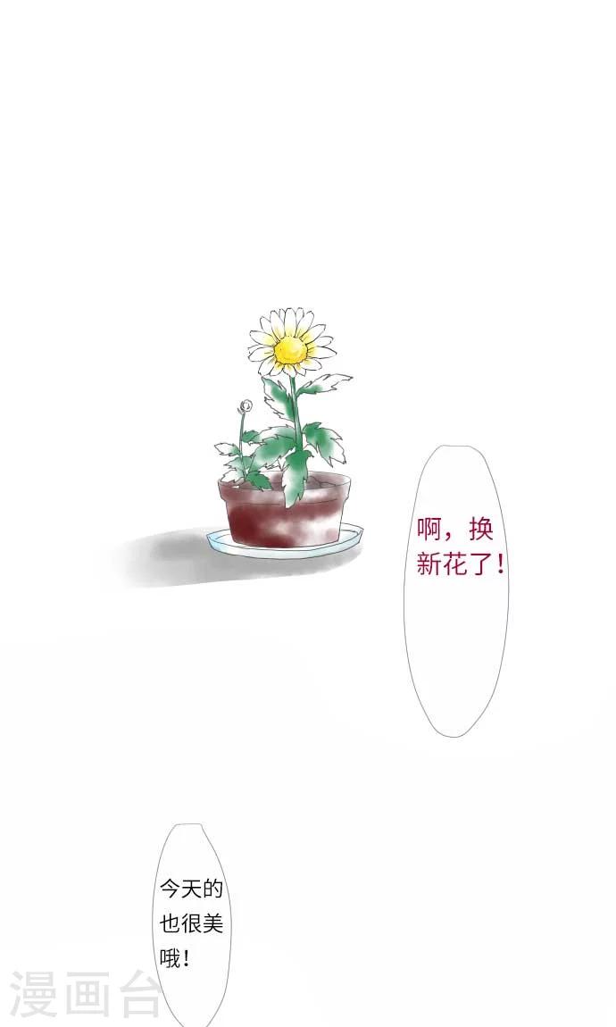 第7话 美丽绽放的花朵-第7话