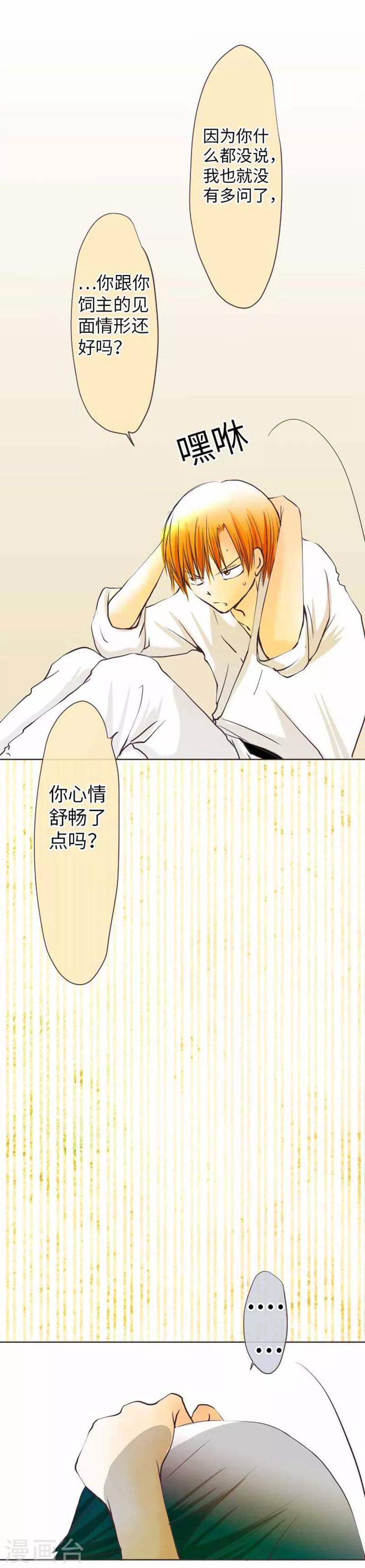 第71话 本命和义理-第71话