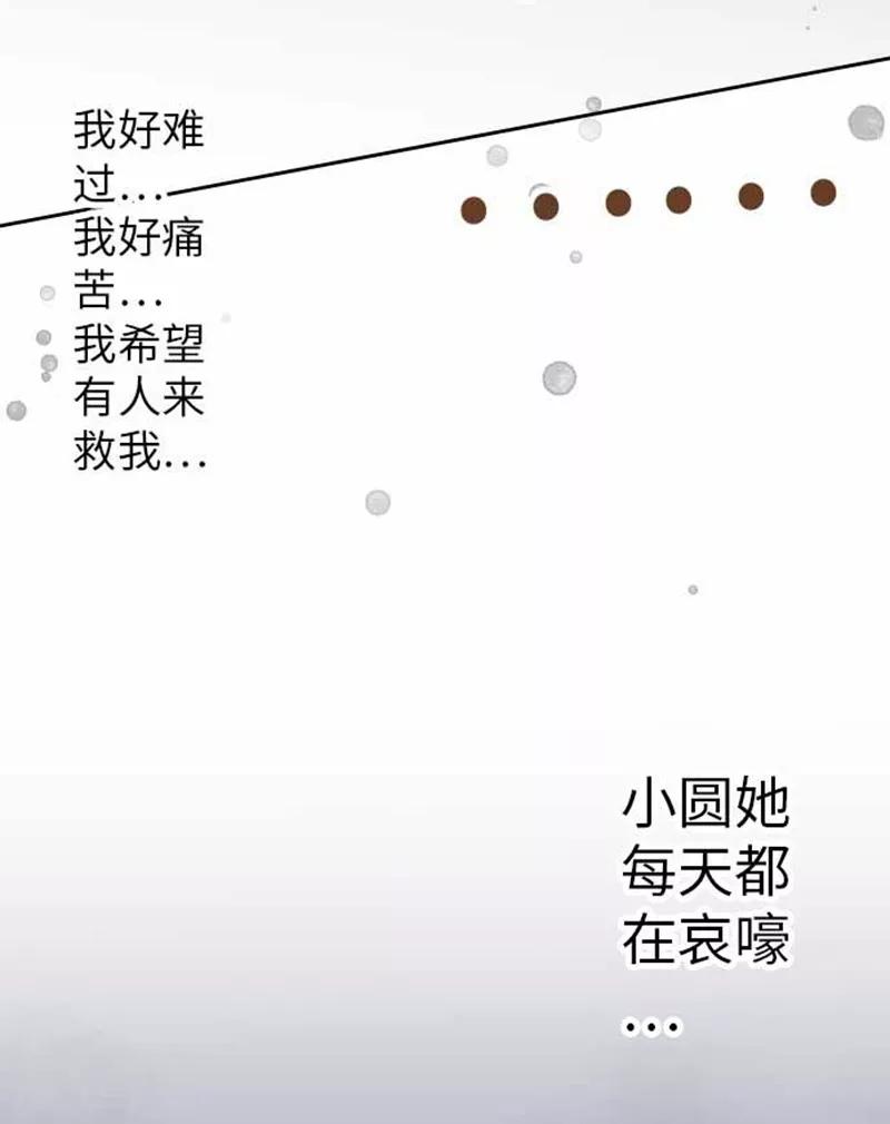 第91话 被爱这件事-第91话