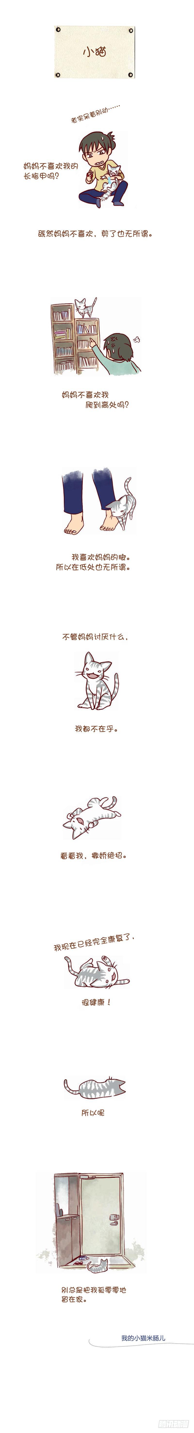 1.小猫-第1话