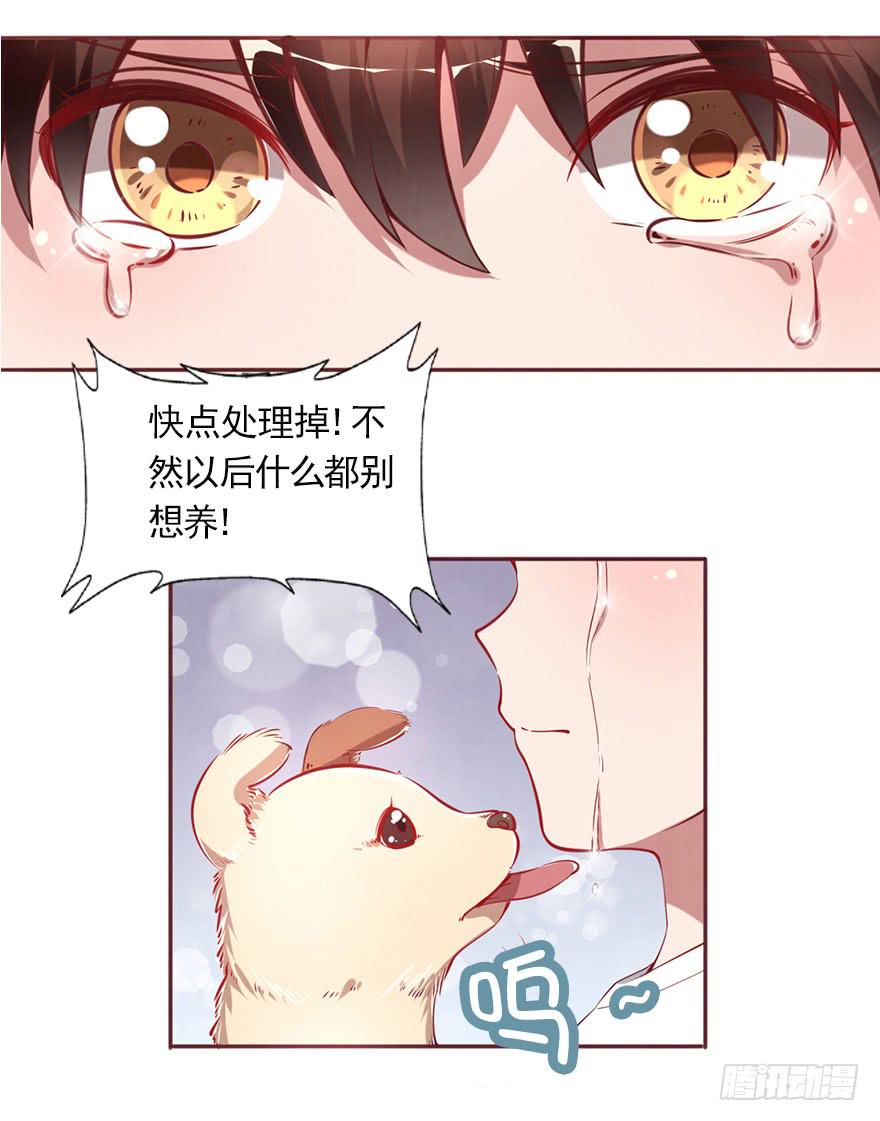 轻轻的一个吻-第71话