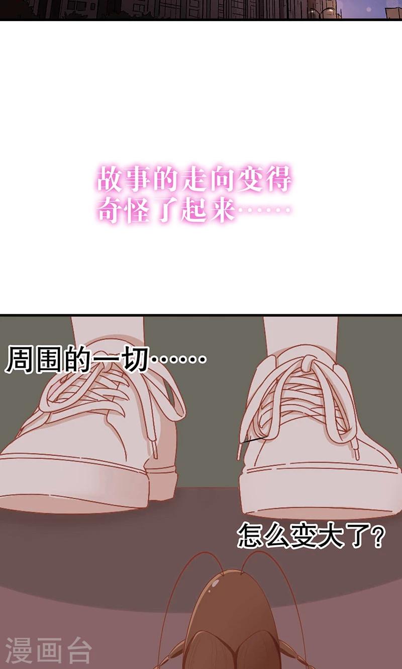 预告-第1话