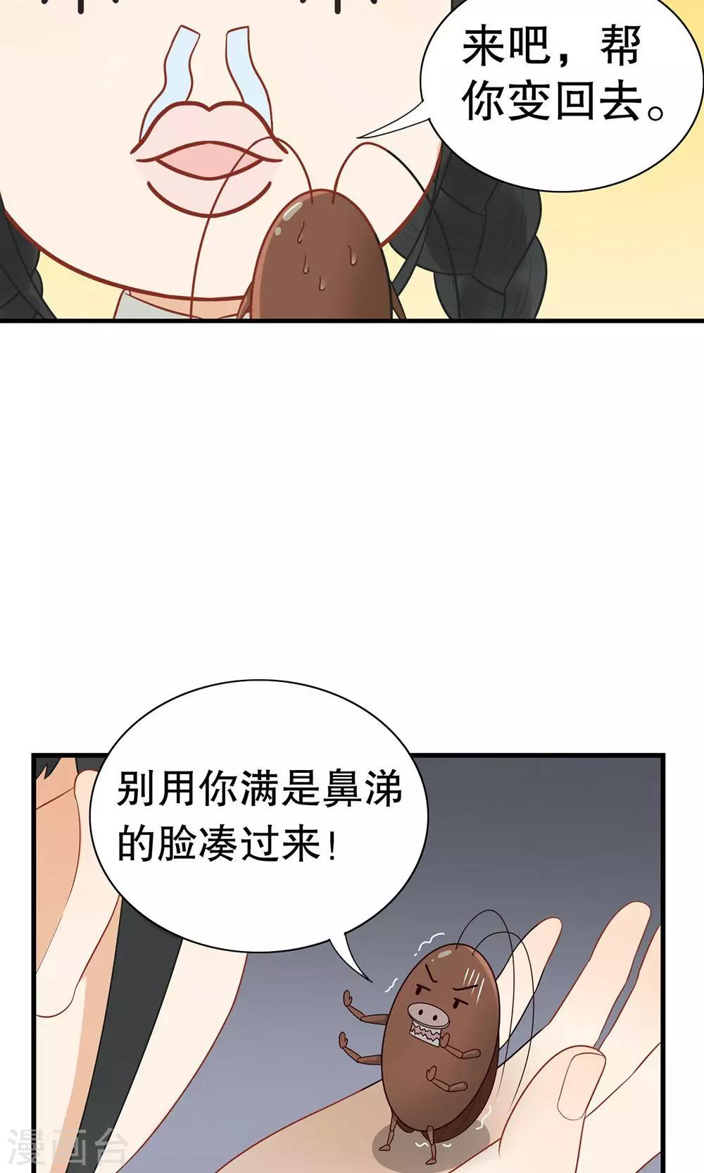 第12话 喜欢的人-第13话