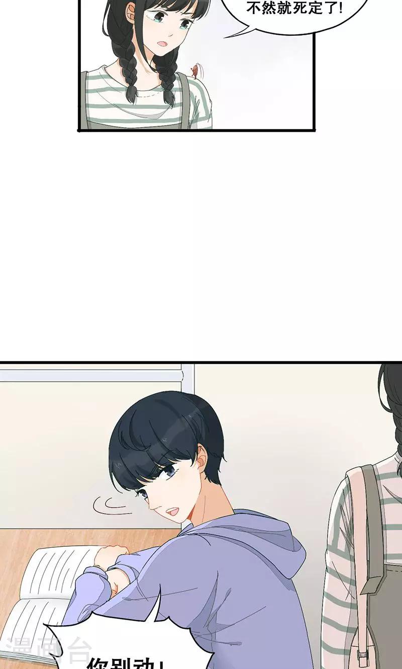 第4话 有蟑螂！！-第5话