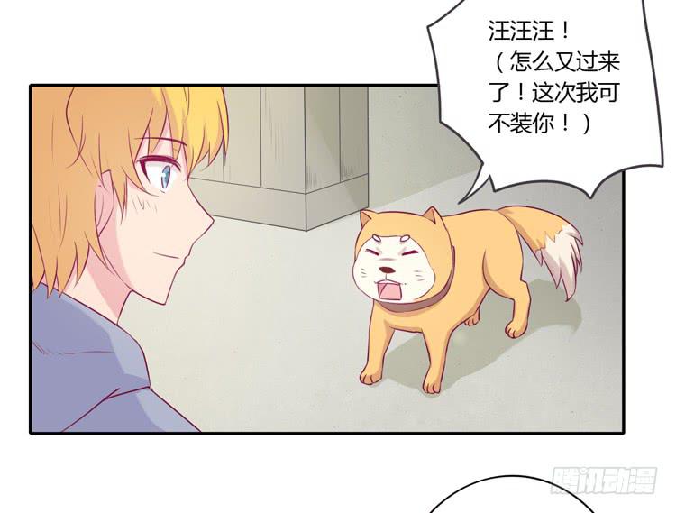 拉近距离大作战(1/2)-第105话