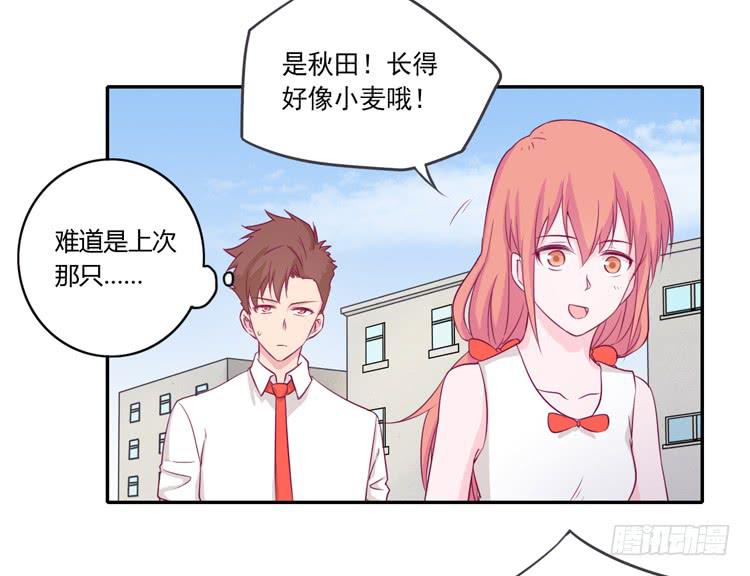 拉近距离大作战(1/2)-第105话