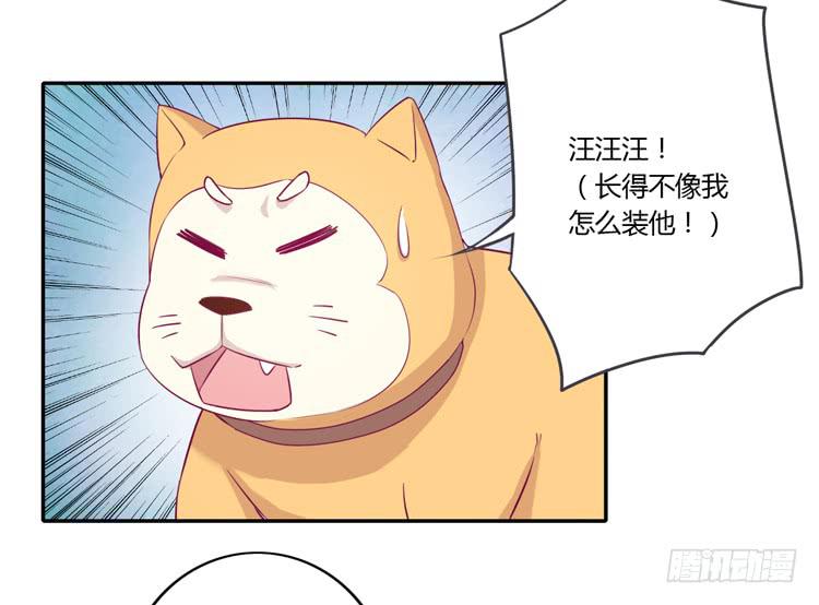 拉近距离大作战(1/2)-第105话
