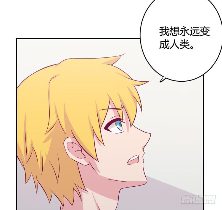 愿望的代价(1/3)-第143话