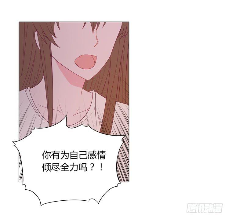 紫色雏菊的花语(1/2)-第45话