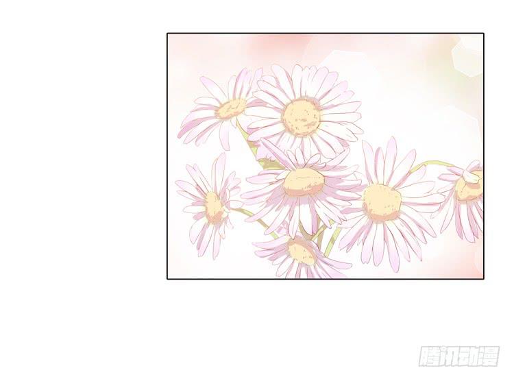 紫色雏菊的花语(1/2)-第45话