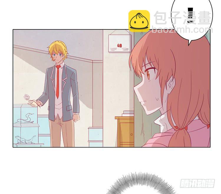 紫色雏菊的花语(1/2)-第45话