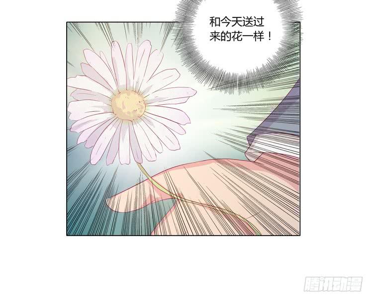 紫色雏菊的花语(1/2)-第45话