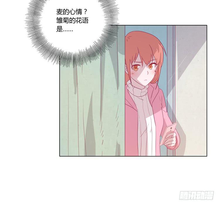 紫色雏菊的花语(1/2)-第45话