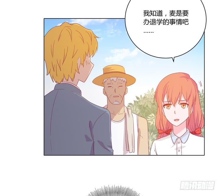 我要带小麦回城里！(1/2)-第51话