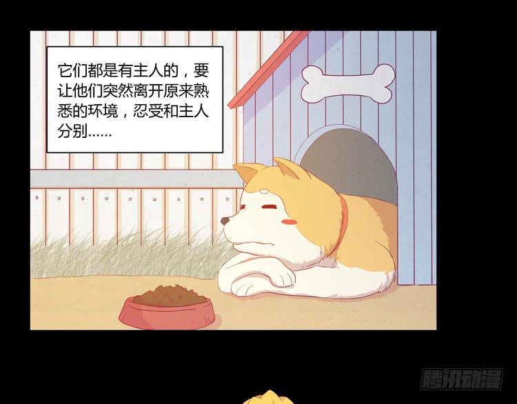 我要带小麦回城里！(1/2)-第51话