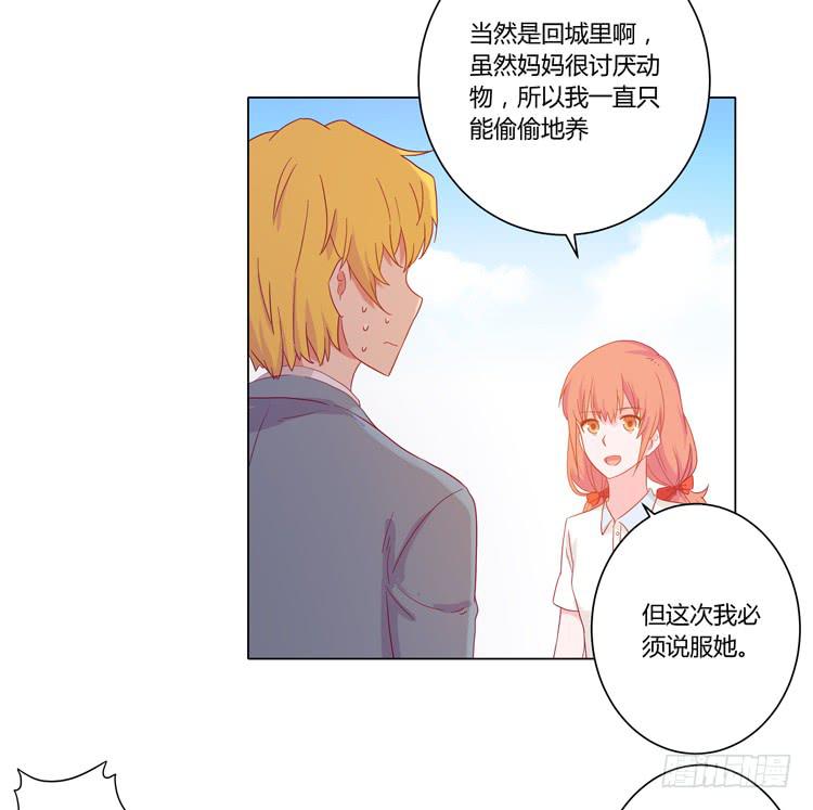 我要带小麦回城里！(1/2)-第51话