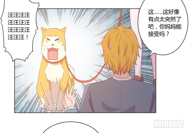 我要带小麦回城里！(1/2)-第51话