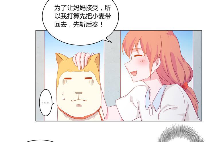 我要带小麦回城里！(1/2)-第51话