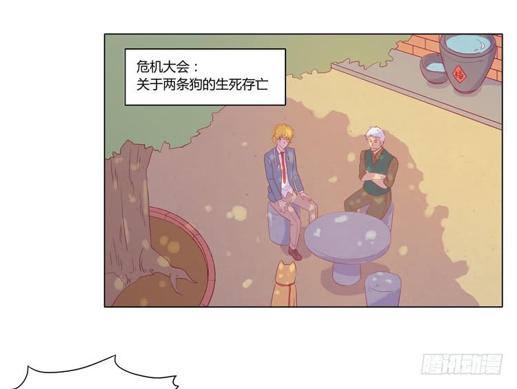 我要带小麦回城里！(1/2)-第51话