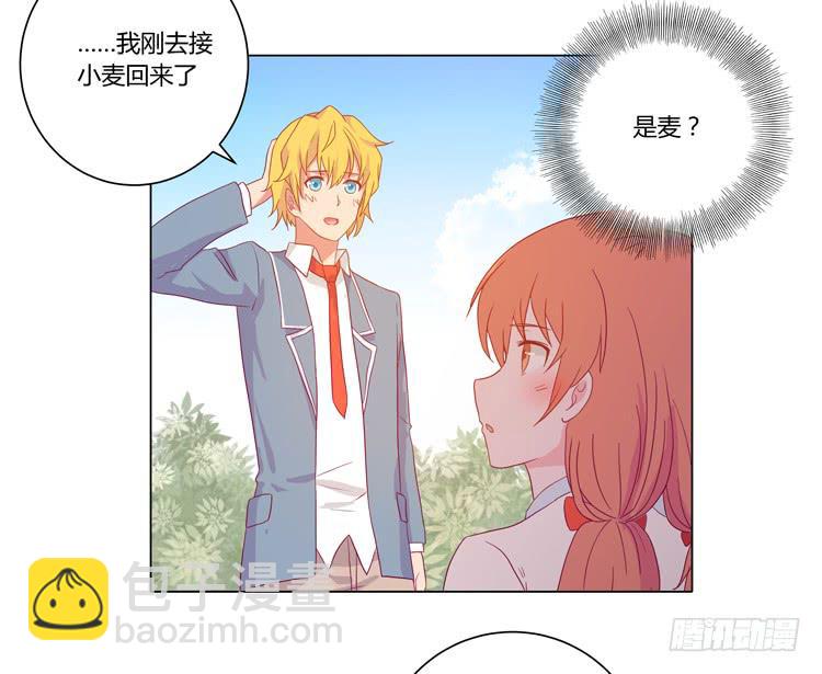 我要带小麦回城里！(1/2)-第51话