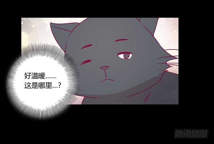 寿命等价交换？！(1/2)-第75话