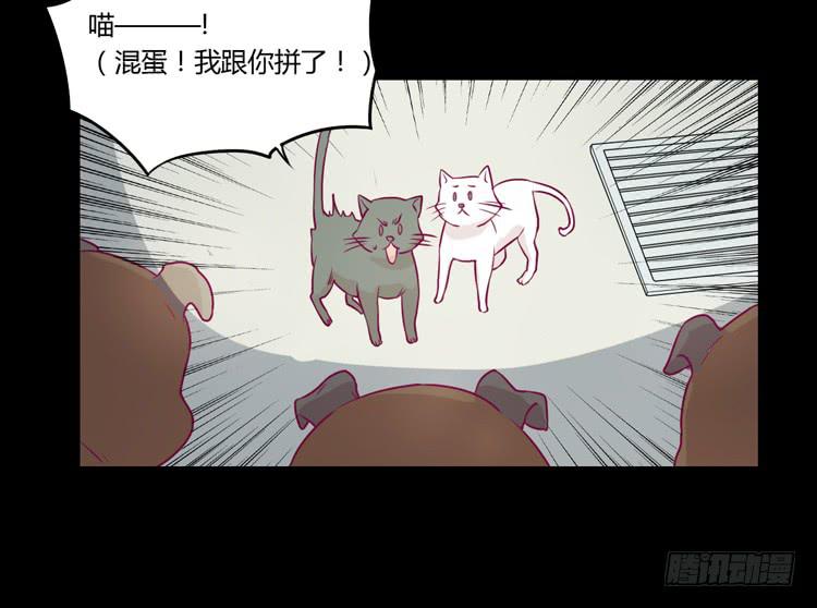 寿命等价交换？！(1/2)-第75话