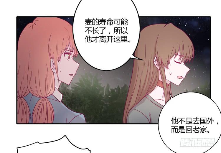 是我太懦弱了-第97话