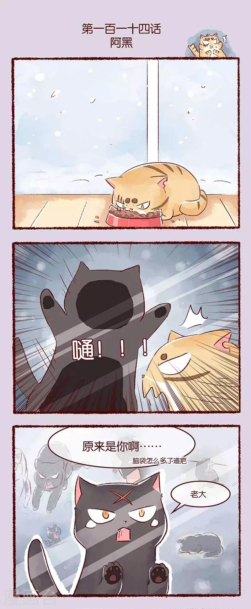第114话 阿黑-第117话