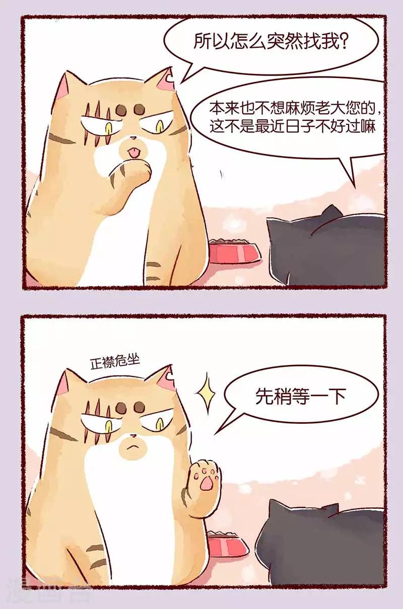 第114话 阿黑-第117话