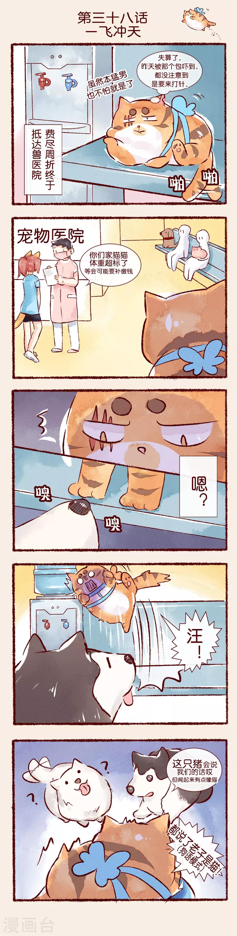 第38话 一飞冲天-第39话