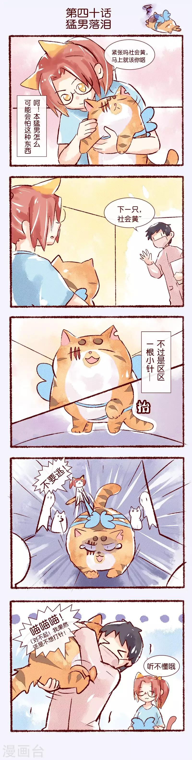 第40话 猛男落泪-第41话