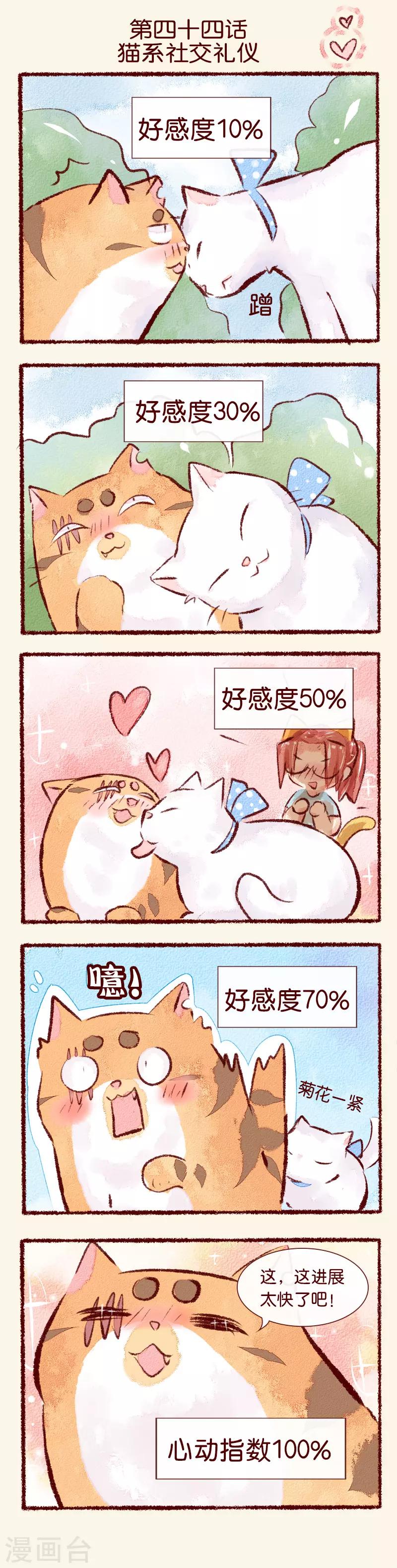 第44话 猫系社交礼仪-第45话