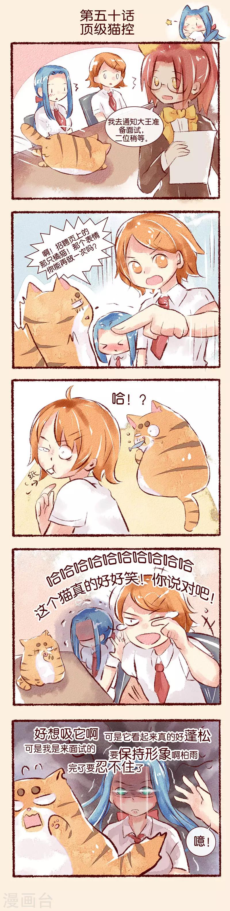 第50话 顶级猫控-第51话
