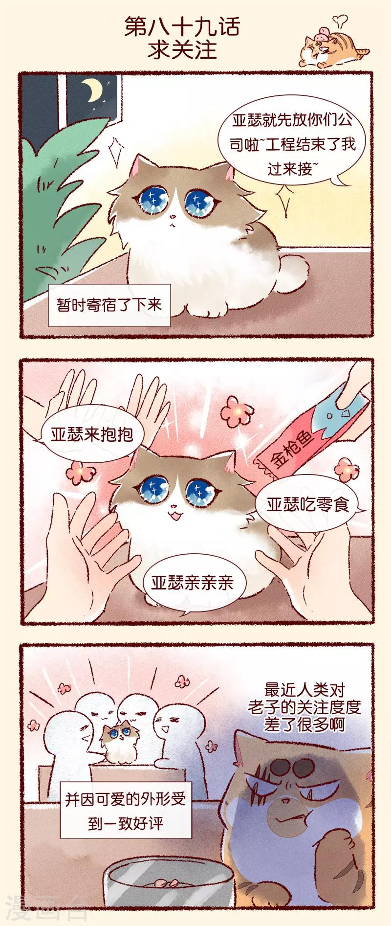 第89话 求关注-第91话