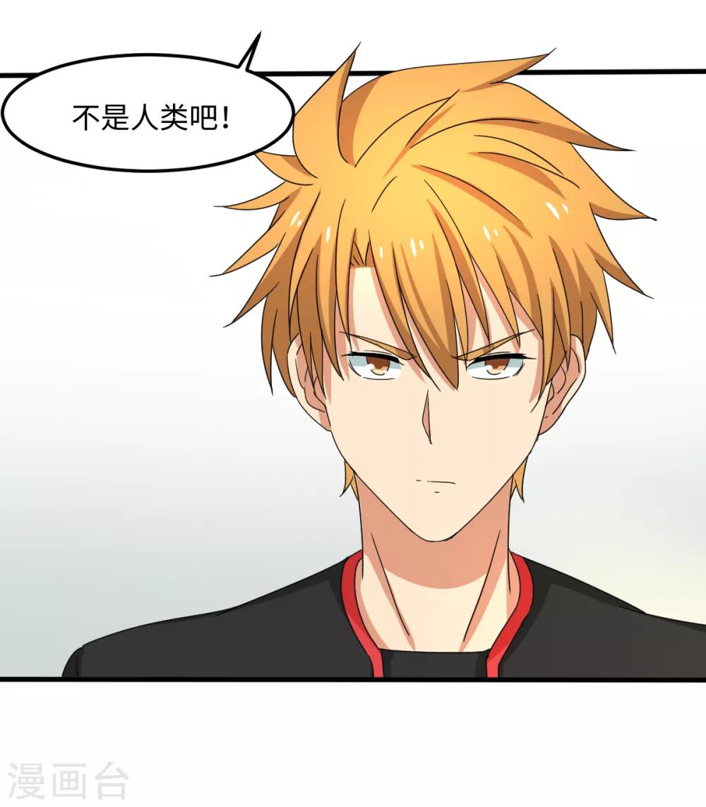第35话 矛与盾-第41话