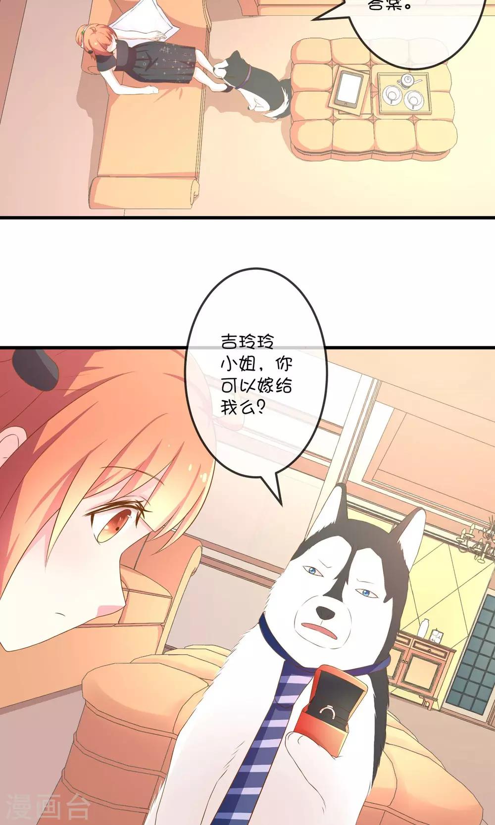 第5话2 第二次求婚-第11话