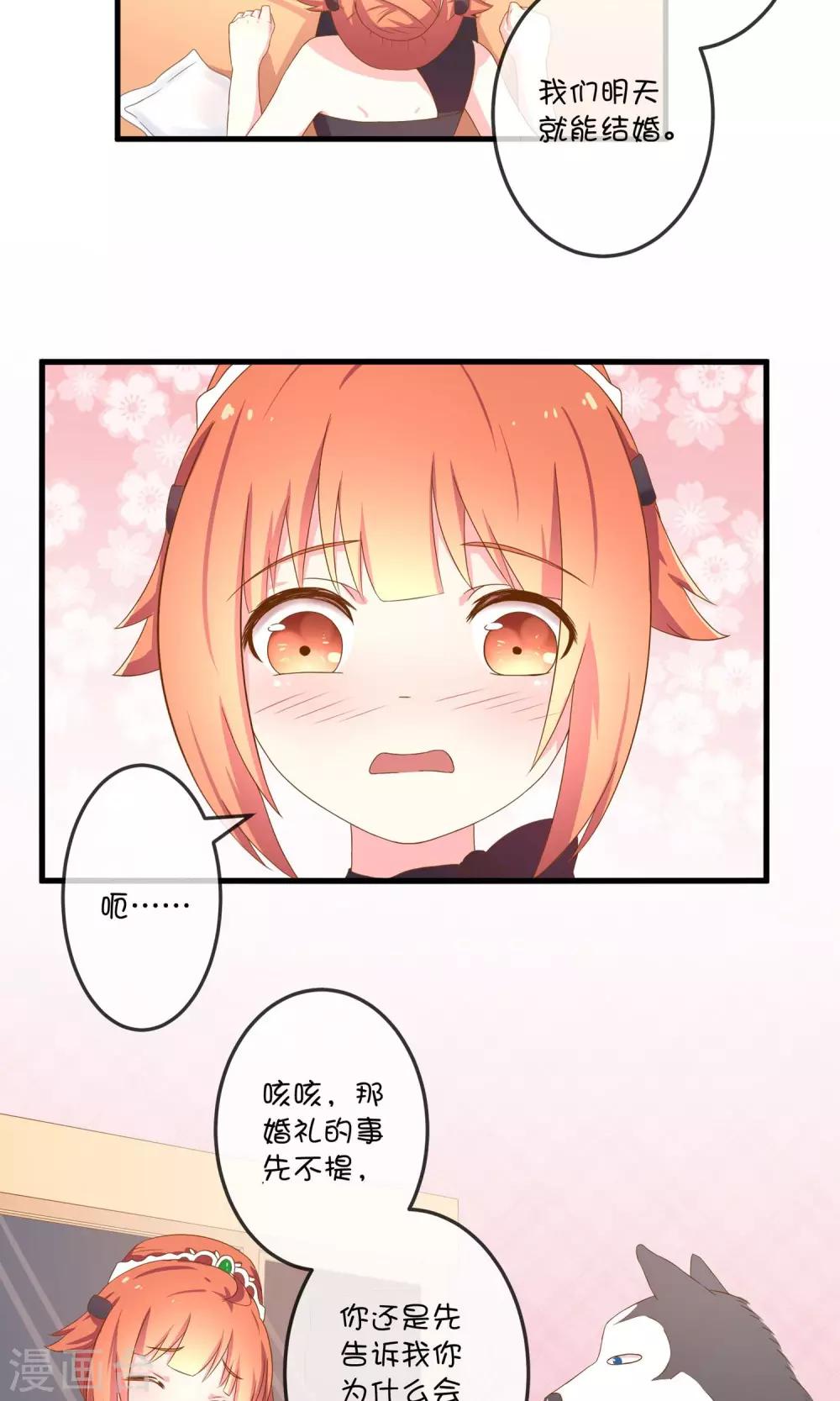 第5话2 第二次求婚-第11话