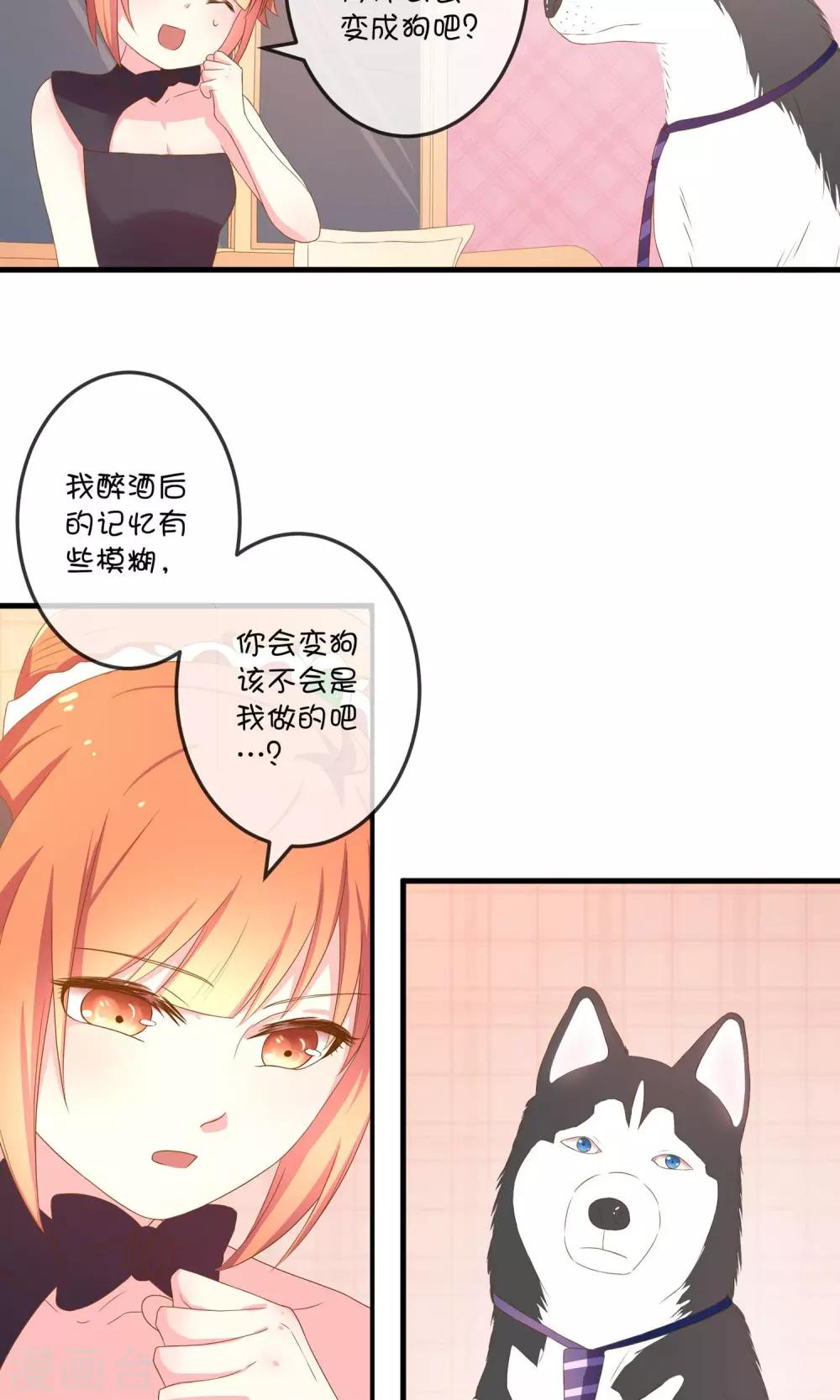 第5话2 第二次求婚-第11话