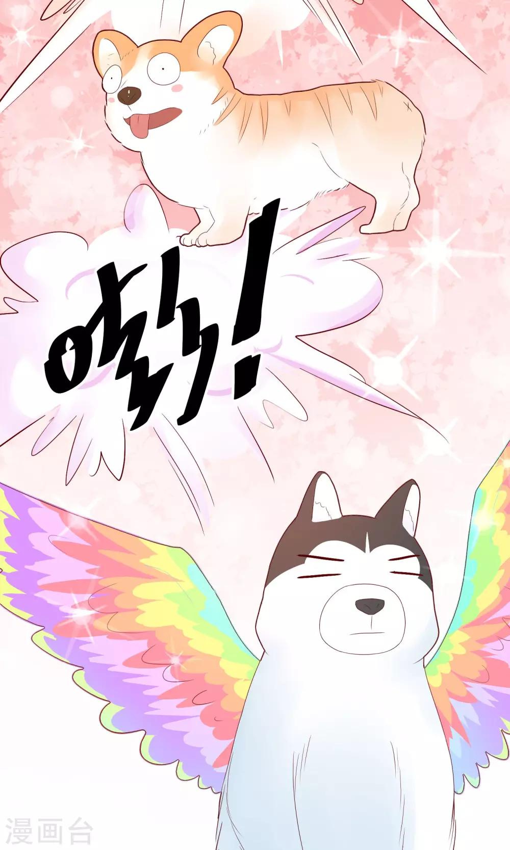 第9话 洞房花烛夜-第17话