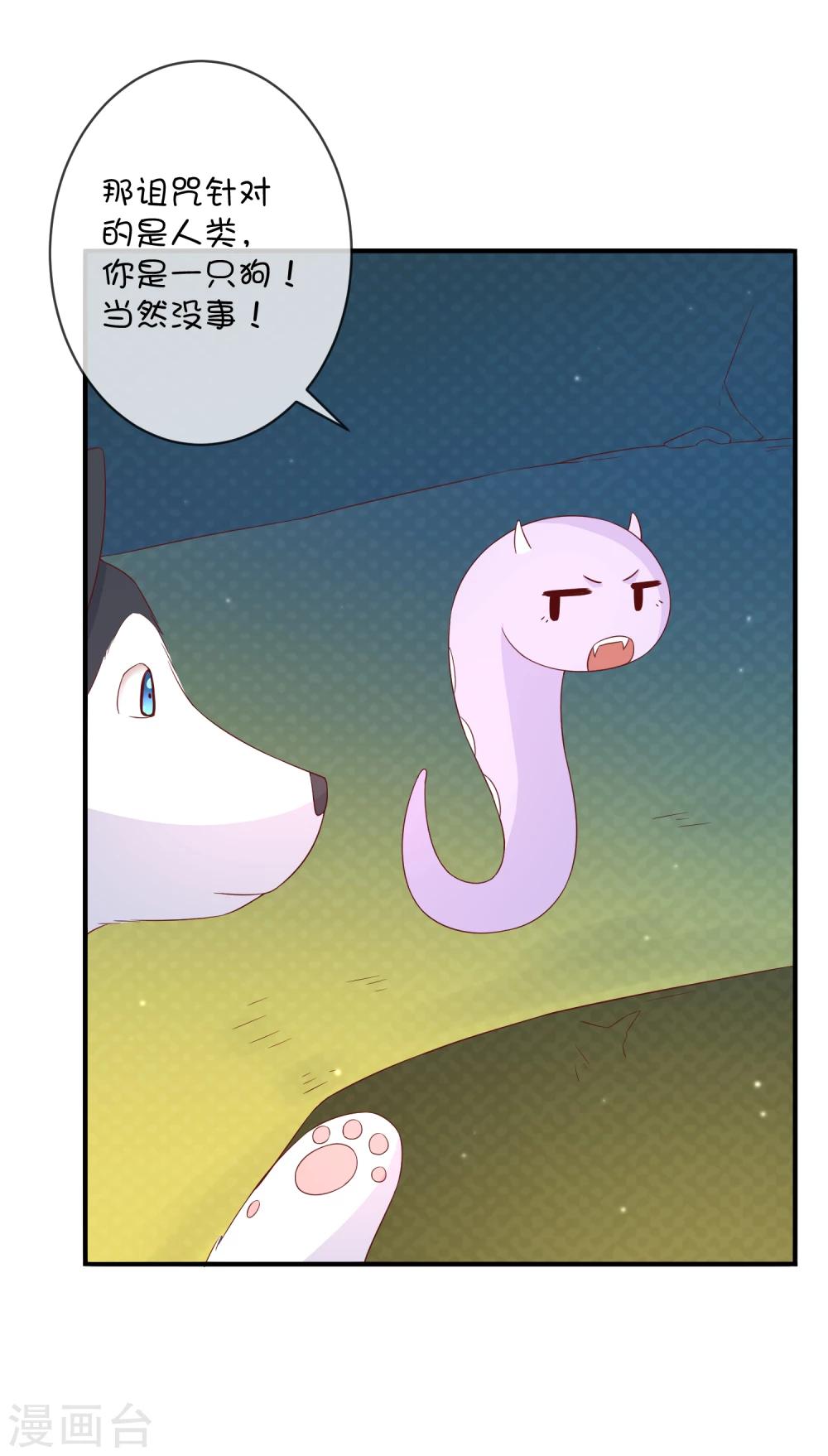 第31话 望星小镇的秘密-第41话