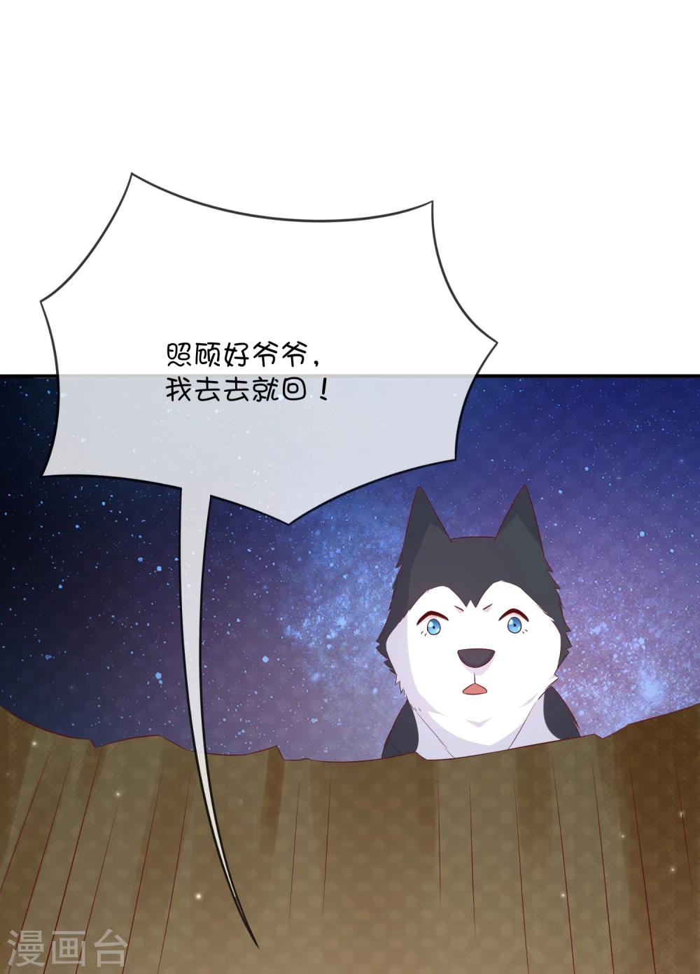 第31话 望星小镇的秘密-第41话