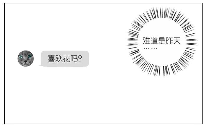 48.花-第49话